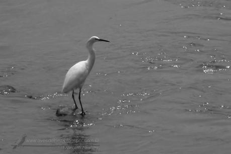 Un minuto en el puente del Arroyo Mártires
