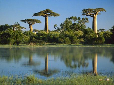 Belleza de la Tierra