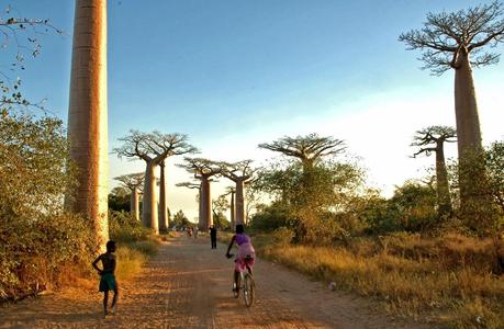 Belleza de la Tierra