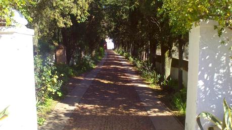 En tu alta sierra brotan las blancas Ermitas...