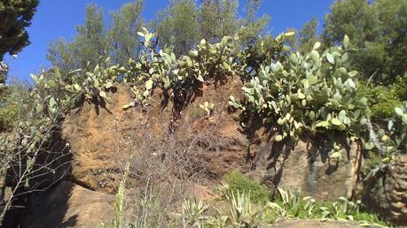 En tu alta sierra brotan las blancas Ermitas...