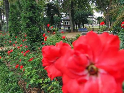 Una belleza en todos los sentidos.