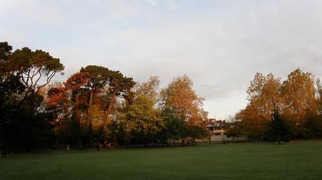 Ferrera RECOMENDACIONES FIN DE SEMANA (28-30 DE MARZO) AVILÉS