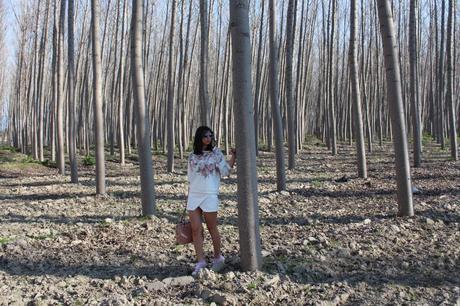  photo IMG_4924_zps6a1fa774.jpg