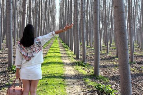  photo IMG_4878_zps62c1656e.jpg