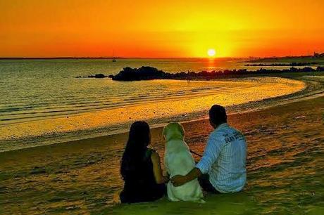 Una boda muy especial. Belleza del Sur