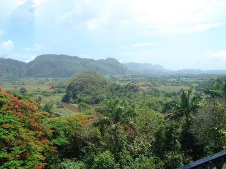 Assssssúúúúcaaarrrrrr 20140130-114648.jpg