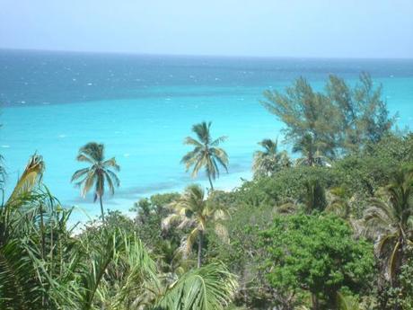 Assssssúúúúcaaarrrrrr 20140130-114552.jpg