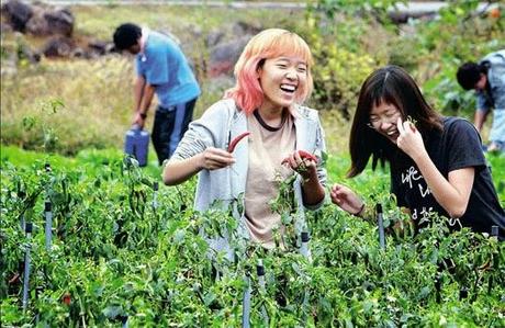 ¿Cambiar el acento?