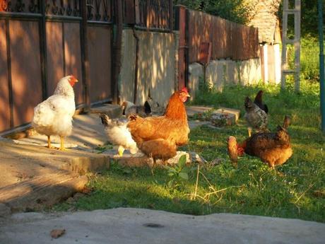 Bienvenida Primavera-con un perfume,una flor y mil recuerdos de c/olores