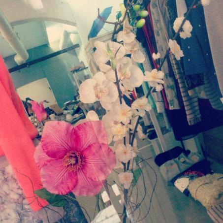 El Pájaro Invisible: calidad y diseño