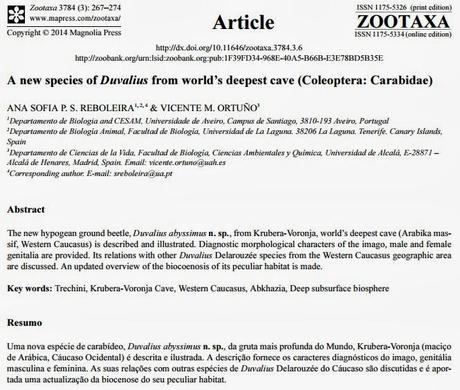 Nueva especie descubierta en la sima más profunda del Mundo