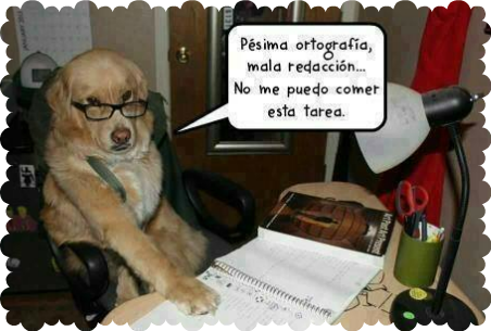 Buen finde!!!. Crazies Everywhere