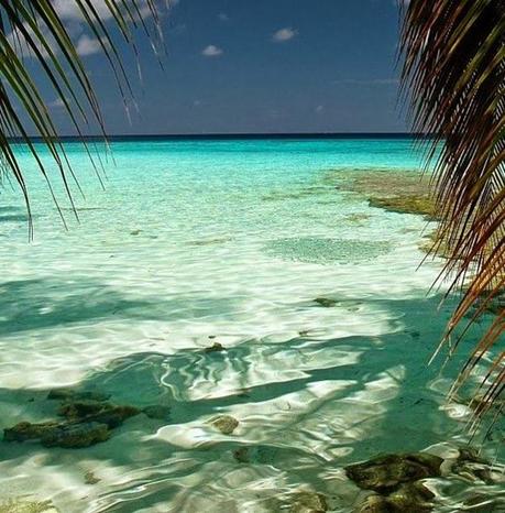 S U M E R F E E L I N G