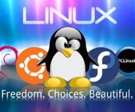 linux