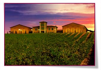 PabloD Gourmet - Palacios Vinoteca