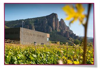 PabloD Gourmet - Palacios Vinoteca 2