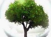 Presentado Atlas Global Justicia Ambiental