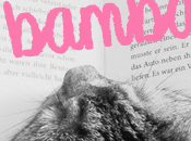 Entre Bambalinas #12: will arrive?