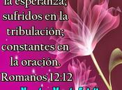 Esperar…