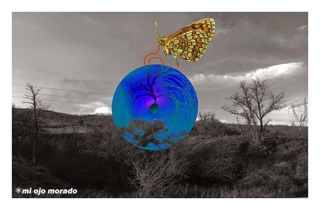 Rumores de crisálida