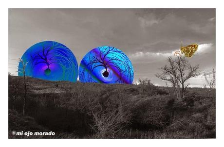 Rumores de crisálida