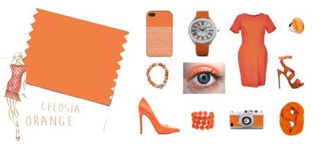 CELOSIA-ORANGE--PANTONE