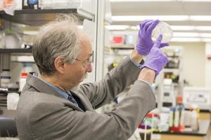 El investigador Jef Boeke en el laboratorio. / NYU Langone Medical Center.