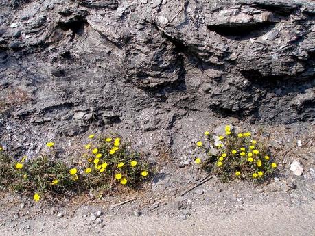 Acuarelas y dibujos - Cabo de Gata