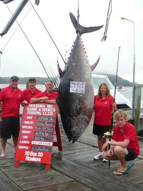 récord de pesca de atún rojo en Nueva Zelanda