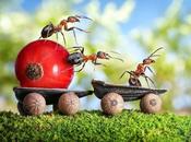 Estamos trabajando...