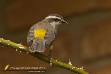 El valor de una fotografía