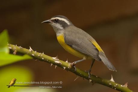 El valor de una fotografía