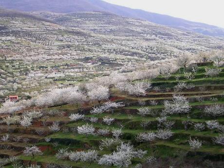 Lectura conjunta Un asesinato algo embarazoso (y unos días de ausencia)