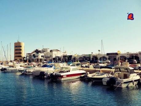 FucsiaYMar-FuchsiaAndSea-FuchsiaEtLaMer