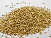 Alimentos debe comer bebé durante primer vida