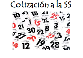 Cotización SS