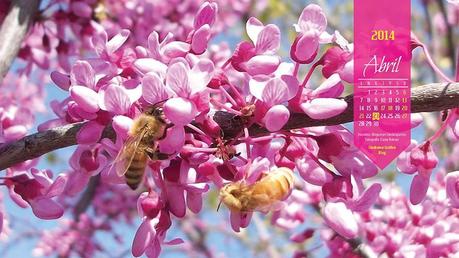Abril 2014