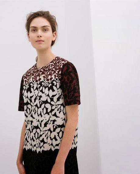 Flores, flores y más flores