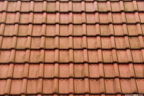 DHG-015-Viviendas en Hageneiland-1