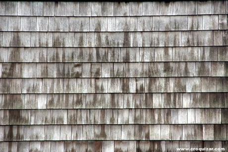 DHG-015-Viviendas en Hageneiland-4