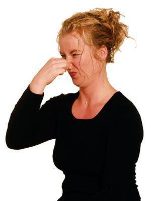 Búsquedas en Google que llevan a Matronaonline apesta