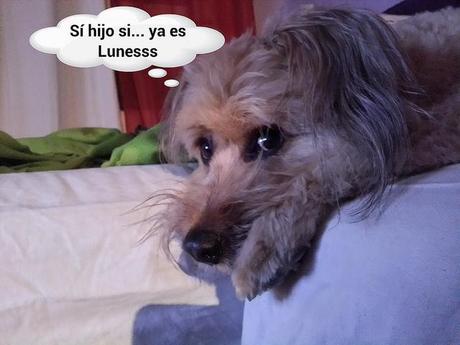 estamos tan agustito