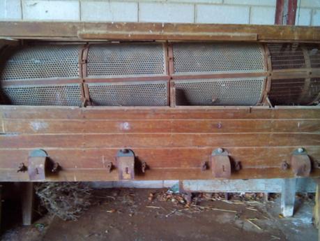 Seleccion de la garbanzos para la siembra