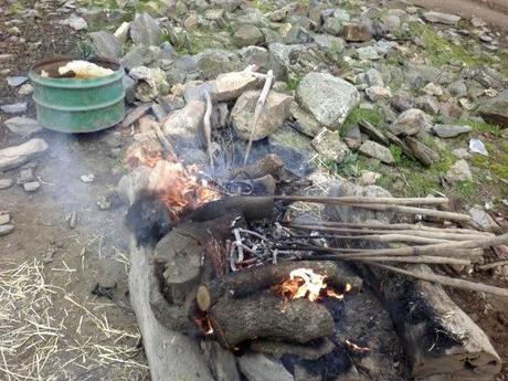 Siglas de una ganaderia