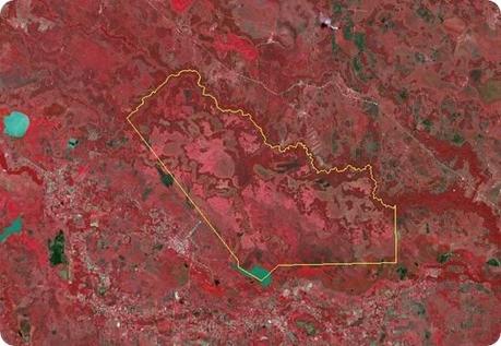 parque nacional rio pilcomayo formosa - landsat 8 oli 18 de septiembre de 2013 - preview