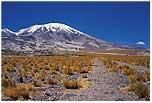 Los Andes Centrales corresponden a los picos más elevados de la Cordillera de los Andes.