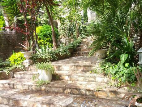 Mi jardin empieza a despertar!   /   My garden is beginning to wake up!