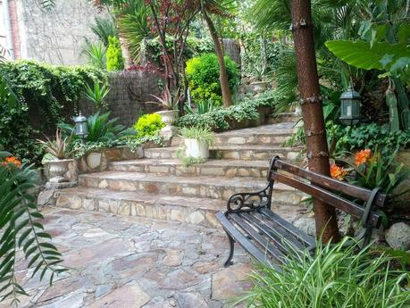 Mi jardin empieza a despertar!   /   My garden is beginning to wake up!