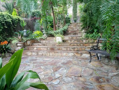 Mi jardin empieza a despertar!   /   My garden is beginning to wake up!